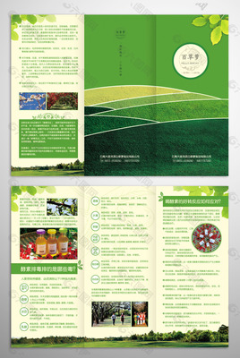 綠色酵素草本產(chǎn)品三折頁