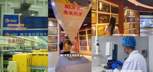 西王x巨量引擎 成功舉辦首屆 西王好油品鑒官 活動