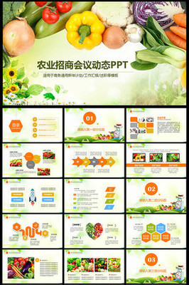 綠色生態農業招商農產品PPT