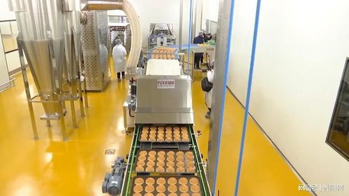 華萊士漢堡 貴陽造 每日產能可達70萬個