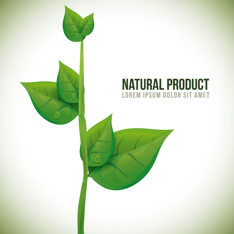 矢量綠色農產品標簽圖片素材-綠色農產品標簽矢量設計插畫素材-eps圖片格式-macw站素材