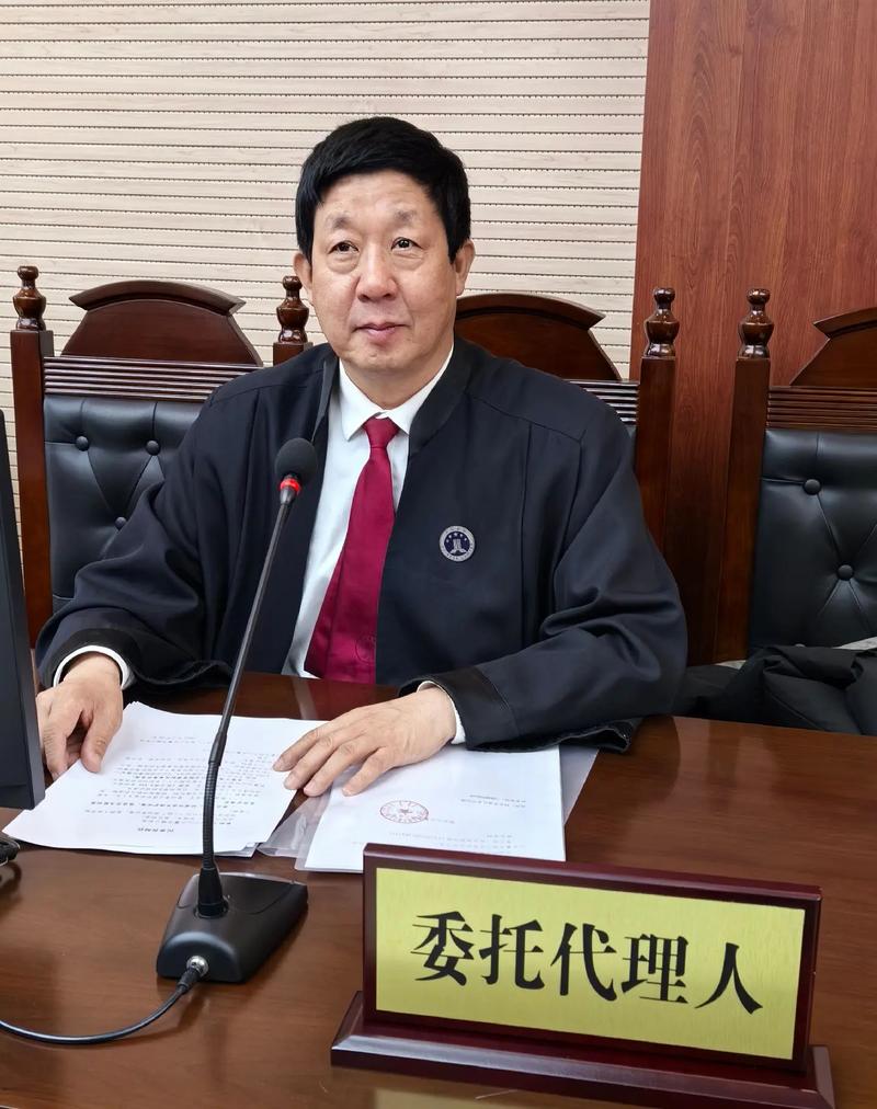 法庭永遠(yuǎn)是律師的.#法治在線 #律師天團(tuán) #開庭律師袍