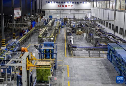 從家庭作坊到國(guó)際舞臺(tái) 律師視角下的福建晉江民營(yíng)企業(yè)蛻變之路